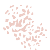 le-cheminement-chapitre-2-ou-le-debut-de-la-psychotherapie-celine-dubray-psychologue